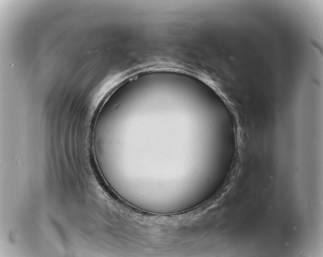 X0000103300007200808291141