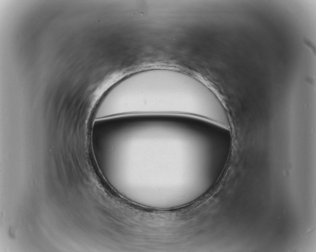 X0000103300008200808291141