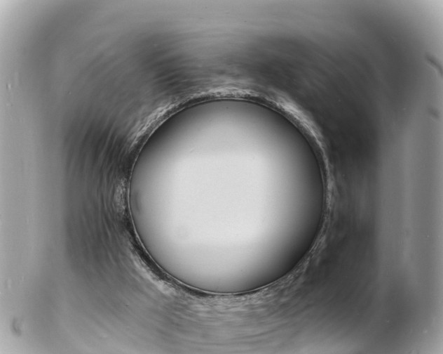 X0000103300009200808291141