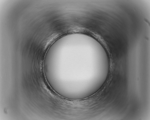 X0000103300010200808291141