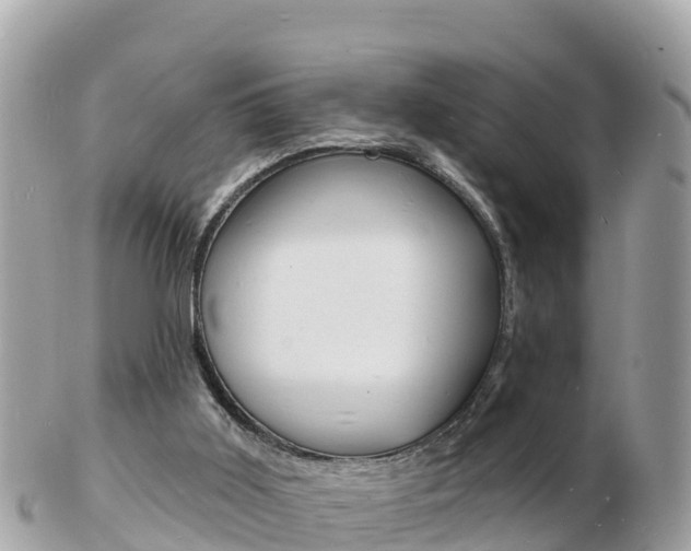 X0000103300011200808291141