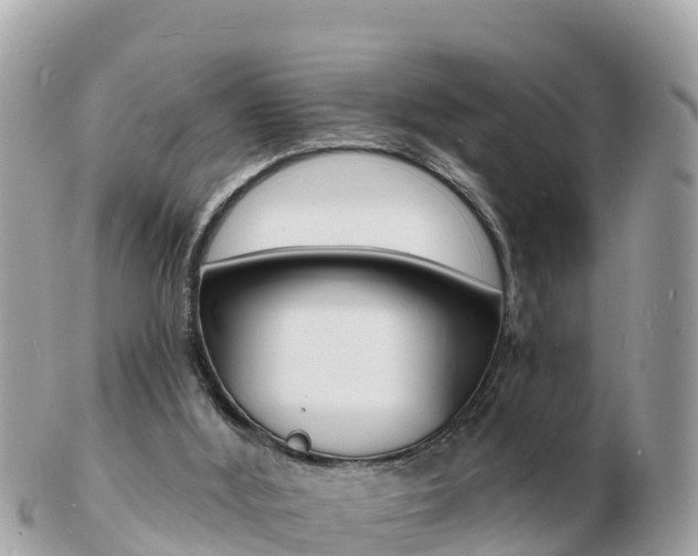 X0000103300012200808291141