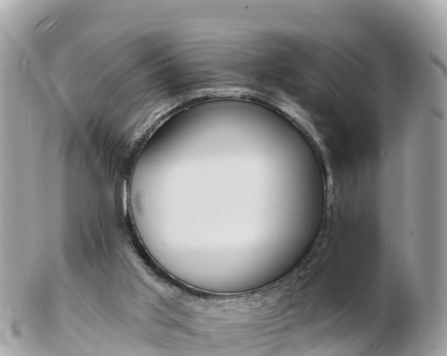 X0000103300013200808291141