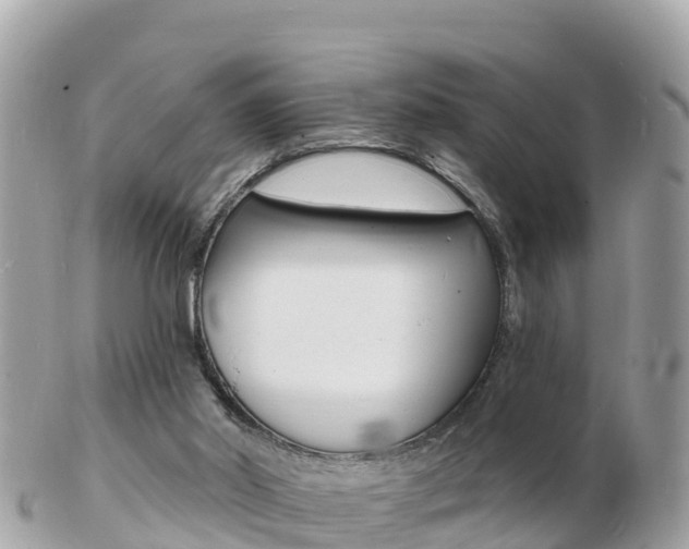 X0000103300014200808291141