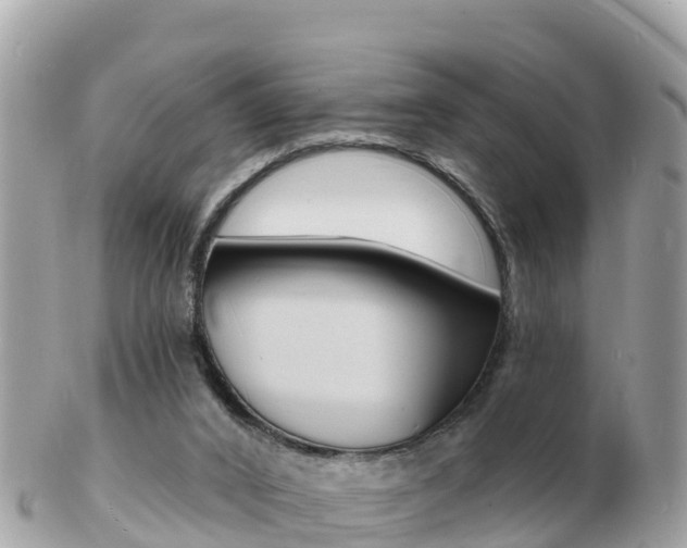 X0000103300016200808291141