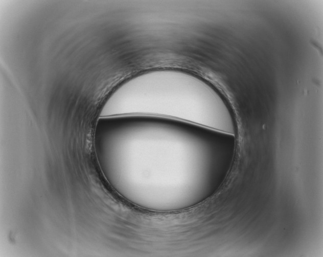 X0000103300017200808291141