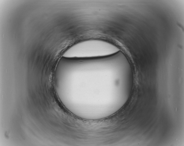 X0000103300018200808291141