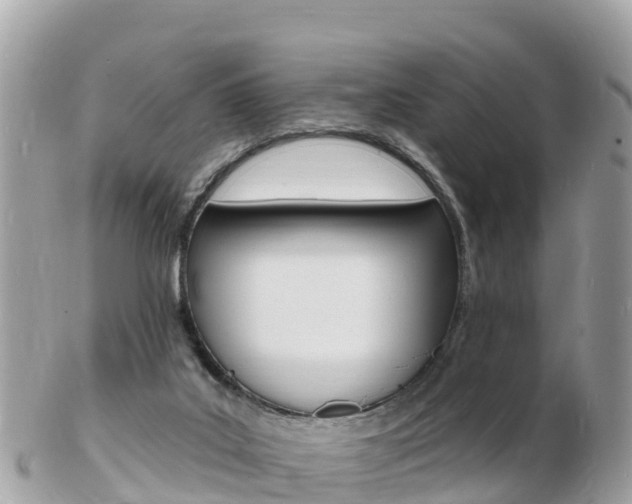 X0000103300019200808291141