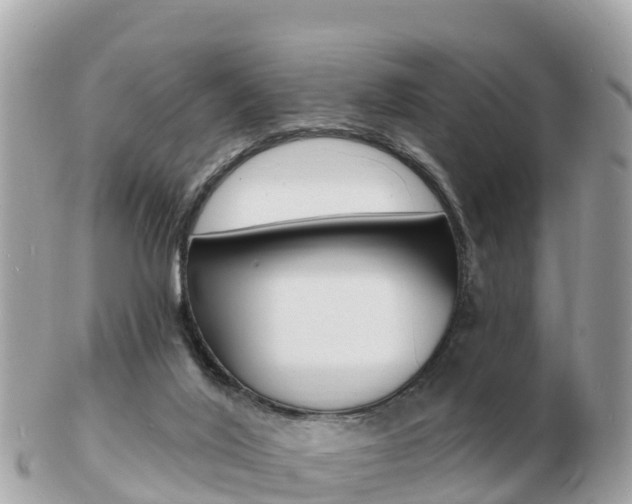 X0000103300020200808291140