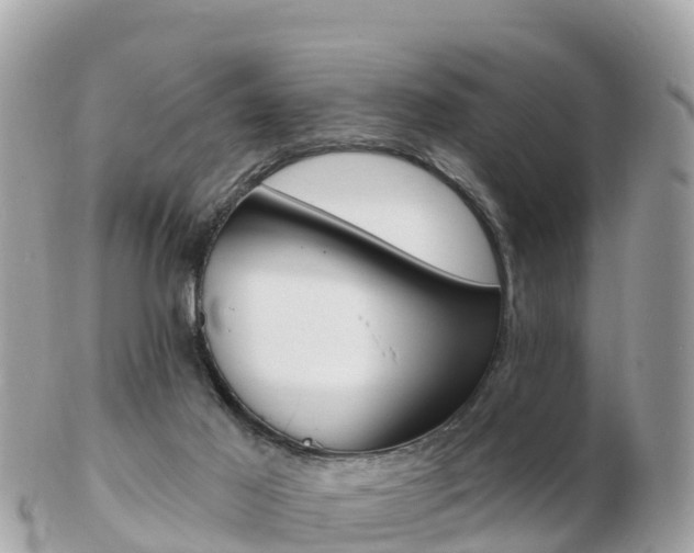 X0000103300021200808291140