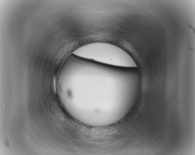 X0000103300022200808291140