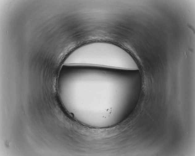 X0000103300023200808291140