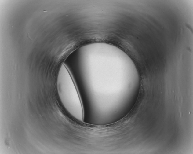 X0000103300024200808291140