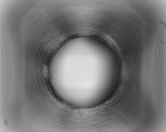 X0000103300025200808291140