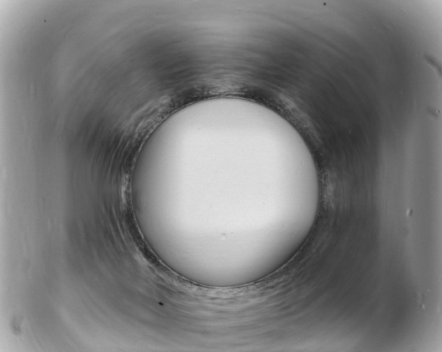 X0000103300026200808291140