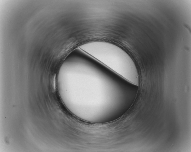 X0000103300028200808291140