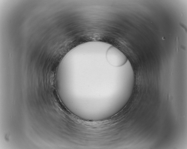 X0000103300030200808291140