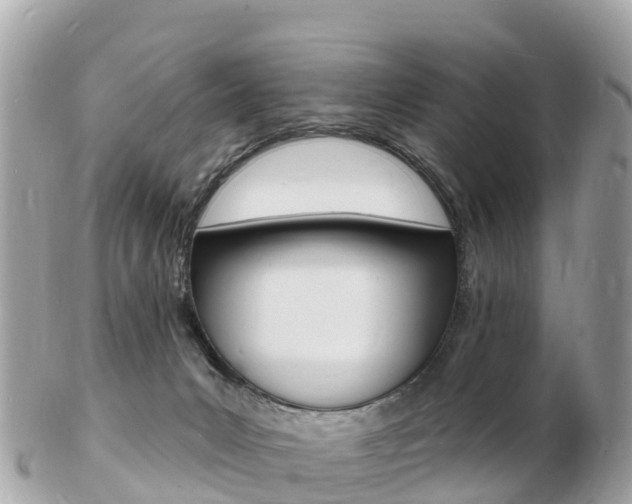 X0000103300031200808291140