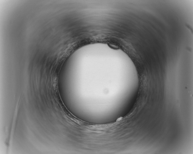 X0000103300033200808291140