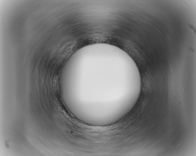 X0000103300034200808291140