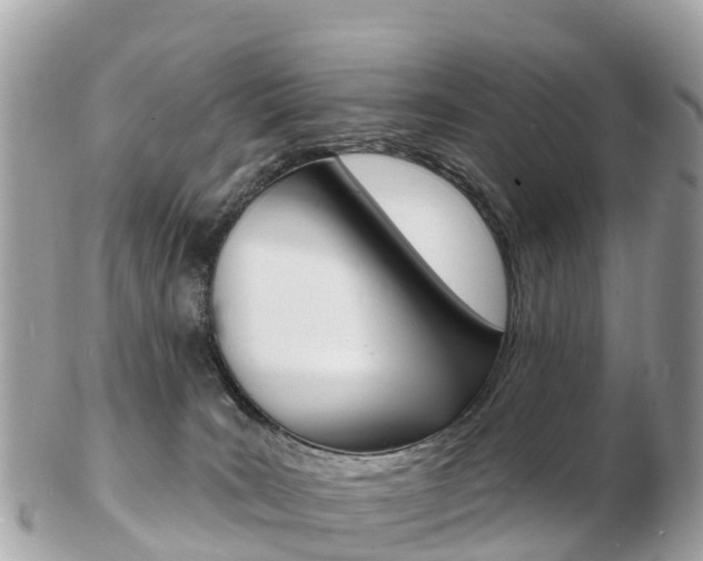 X0000103300035200808291140