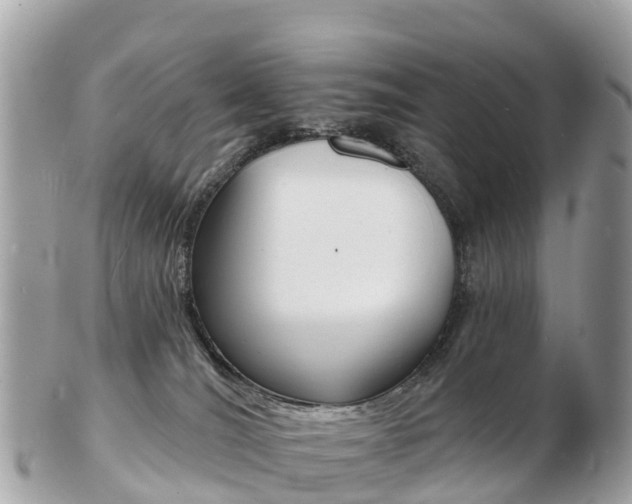 X0000103300036200808291140