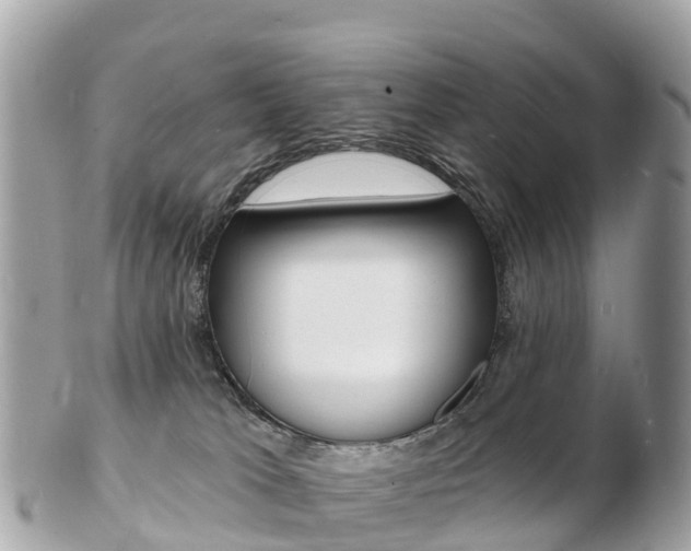 X0000103300037200808291140