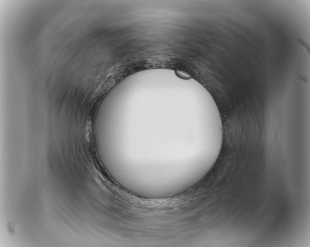 X0000103300038200808291140