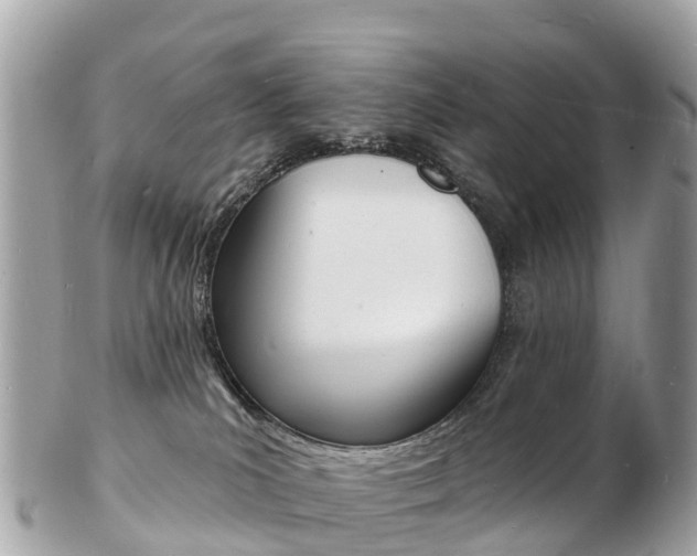 X0000103300039200808291140