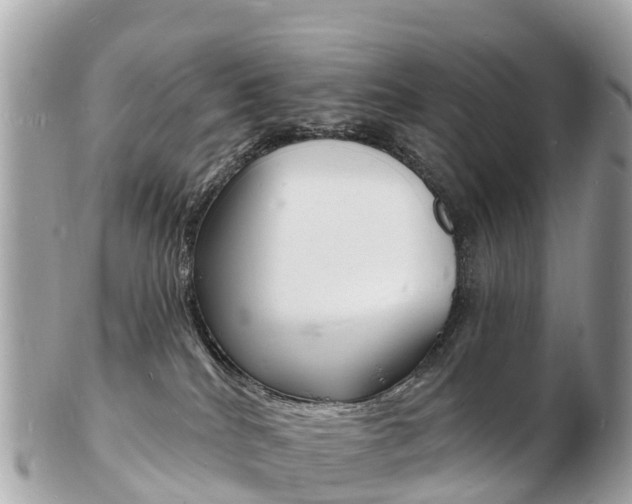 X0000103300040200808291140