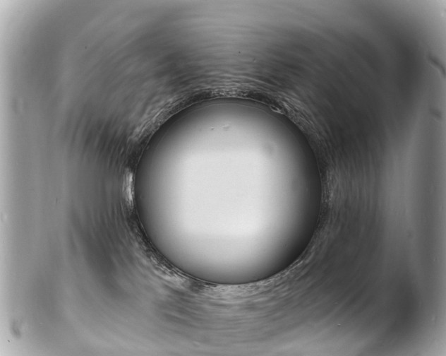 X0000103300041200808291140
