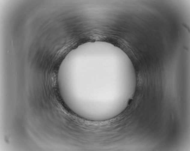 X0000103300043200808291140