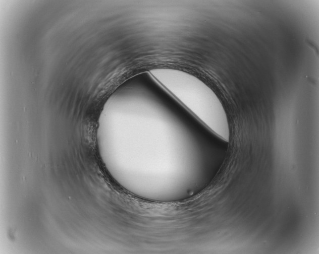 X0000103300044200808291140