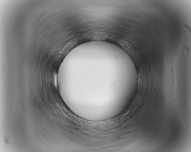 X0000103300046200808291140