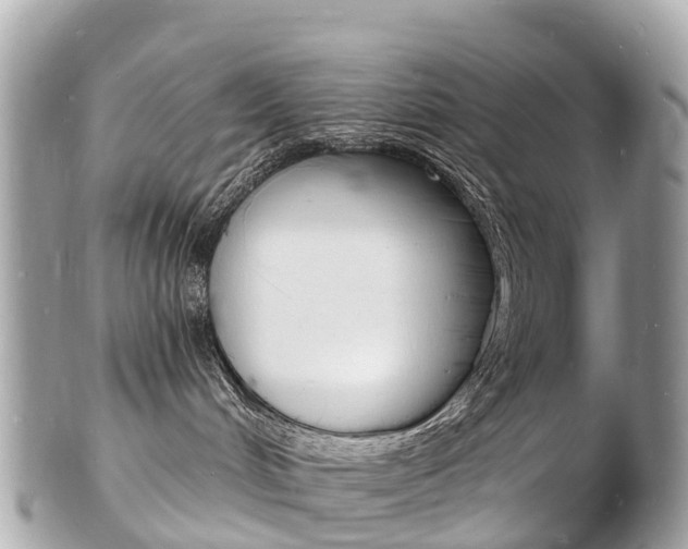 X0000103300048200808291140