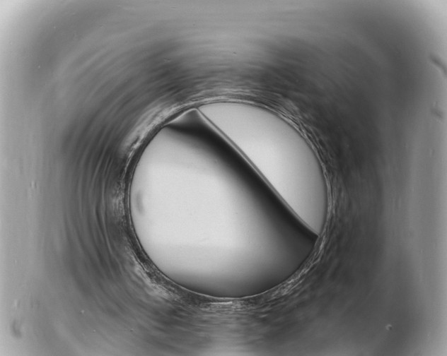 X0000103300050200808291139