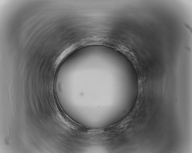 X0000103300051200808291139