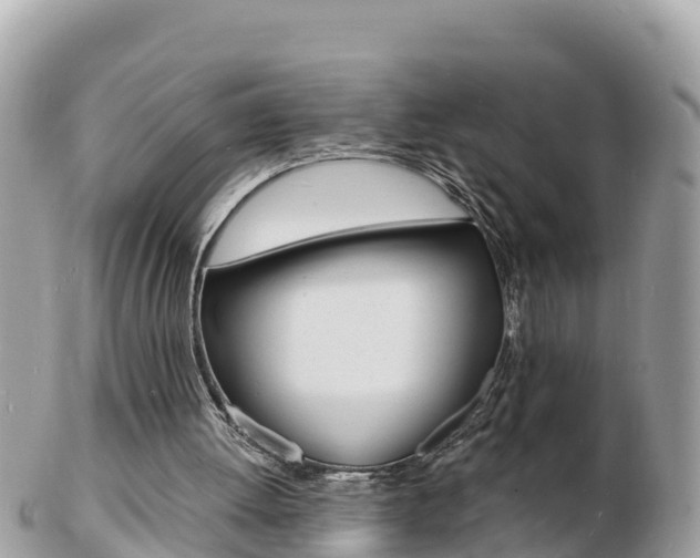 X0000103300052200808291139