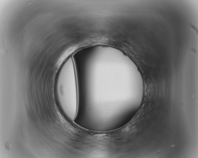 X0000103300054200808291140