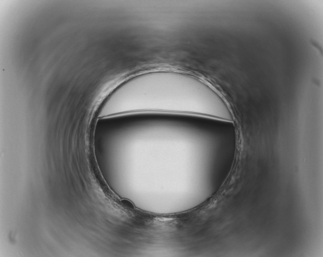 X0000103300055200808291140