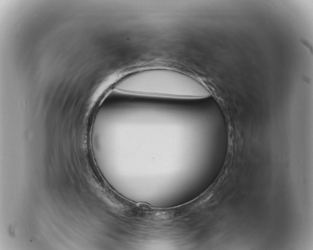 X0000103300056200808291140