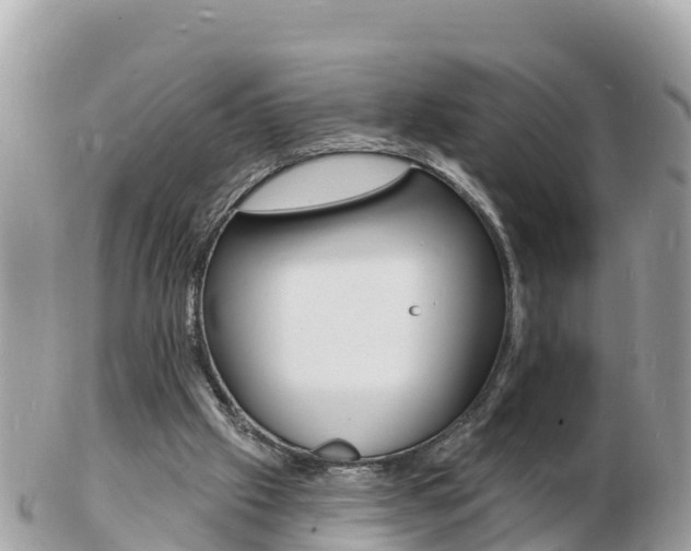 X0000103300057200808291140