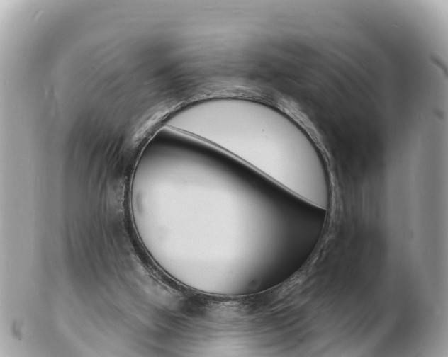 X0000103300058200808291140