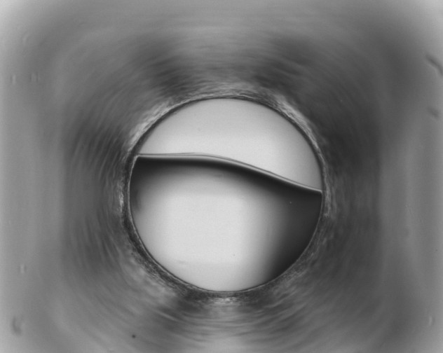 X0000103300059200808291140