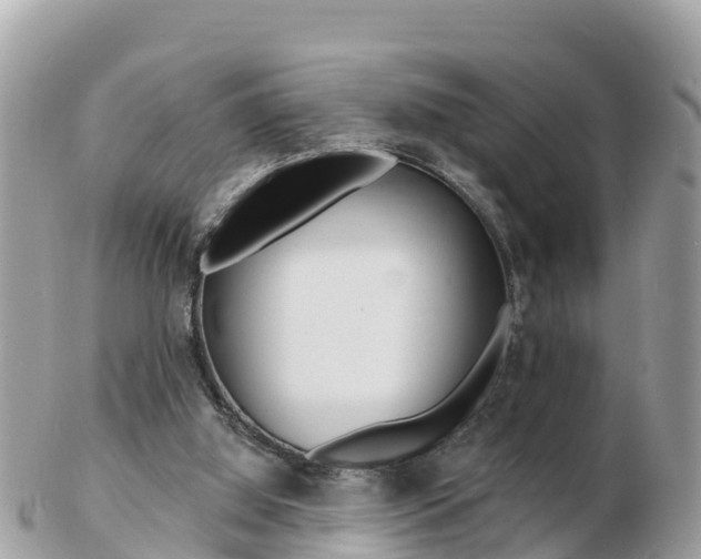 X0000103300060200808291140