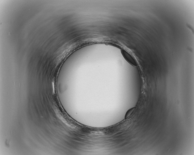 X0000103300061200808291140