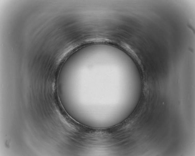 X0000103300063200808291140