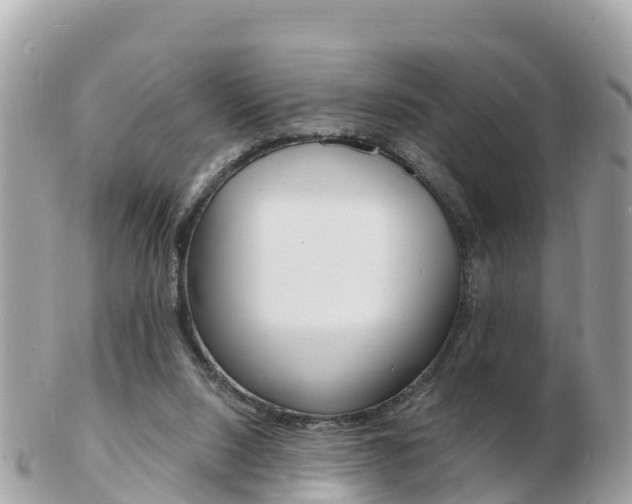 X0000103300064200808291140