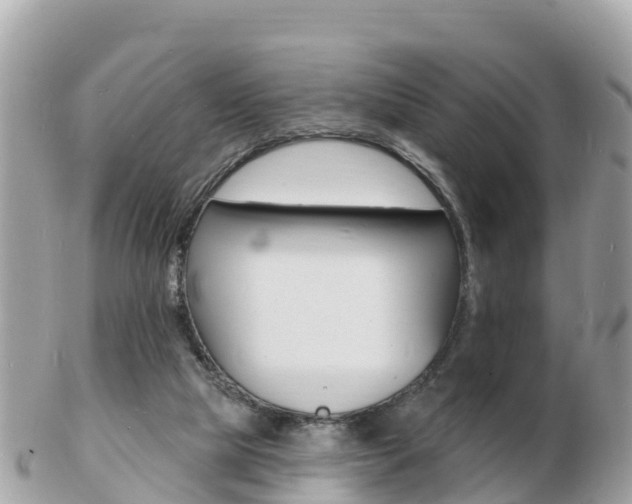 X0000103300065200808291140