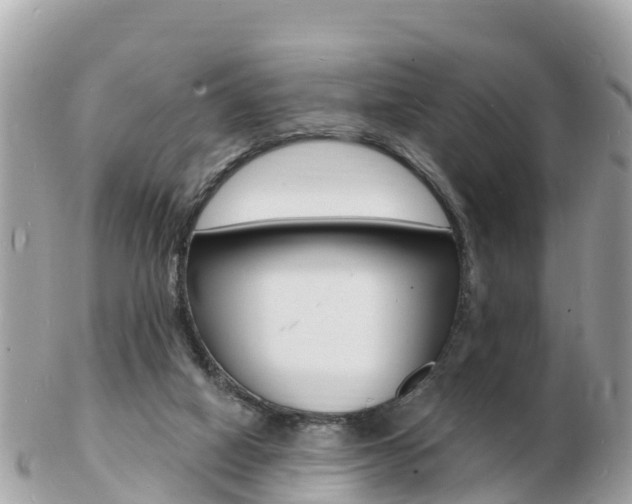 X0000103300066200808291140